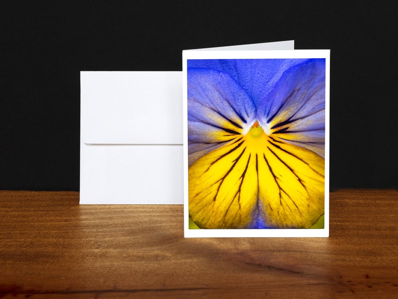 Purple Pansy Greeting Cards, Note Cards, Any Occasion Cards, Blue, Yellow image 1