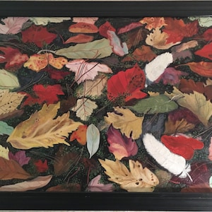 Three feathers on the water oil on canvas 24x36