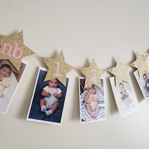 Twinkle Twinkle little star photo banner, 12 month photo banner, 1st birthday banner, twinkle twinkle little star birthday decorations, sign