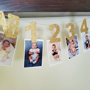 12 month photo banner, 1st year photo banner, 1st birthday banner, gold glitter photo banner, 1st birthday decorations, picture banner