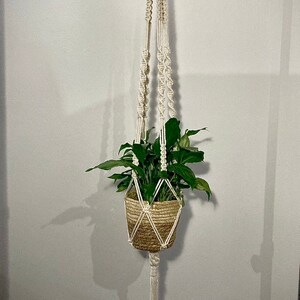 May include: A white macrame plant hanger with a wooden ring at the top. A green plant in a woven basket is hanging from the hanger.