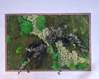 Arte de pared de musgo grande