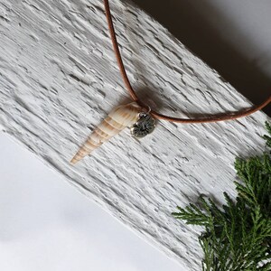 May include: A brown leather cord necklace with a seashell pendant and a silver charm. The seashell is a light brown colour with darker brown stripes. The charm is a silver flower with a detailed design.