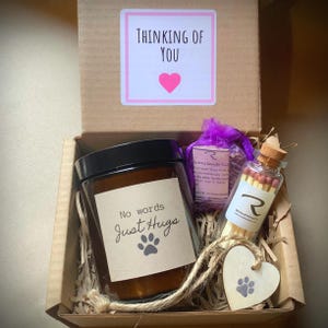 No words just hugs, Pet Sympathy Candle, No Words, Thinking of you candle, Condolence Gift, Bereavement Gift, remember candle, Sympathy Gift