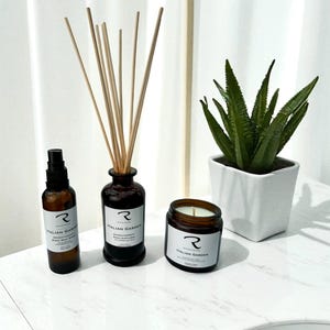 Aromatherapy Reed Diffuser: Essential Oils, Non-Toxic, Italian Design, Essential Oil Diffuser, Reed Diffuser, Natural Home Fragrance