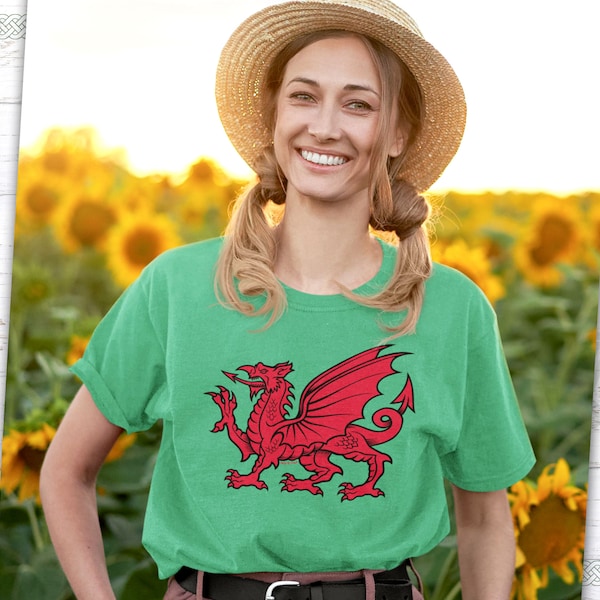 Wales Red Dragon Y Ddraig Goch Welsh Flag Unisex T-Shirt, Welsh Tee, Wales Throw Pillows, Celtic Gift, Welsh Heritage, Cardiff Souvenir