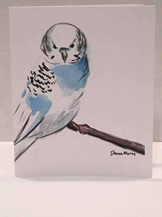 blue white parakeet
