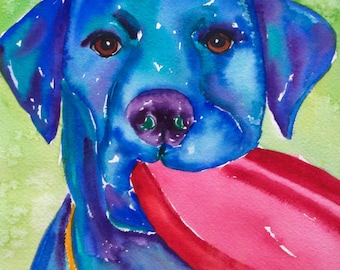 Può includere: Dipinto ad acquerello di un Labrador Retriever blu con un frisbee rosa in bocca. Il cane ha occhi marroni, naso viola e collare giallo. Lo sfondo è verde chiaro. Firmato dall'artista, Phyllis Gubins.