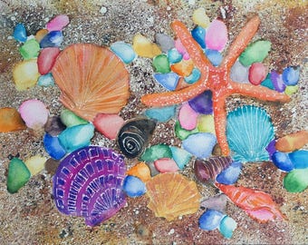 Conchas de playa en acuarela