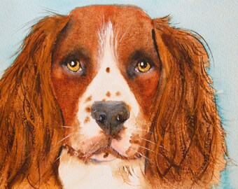 Springer Spaniel Watercolor