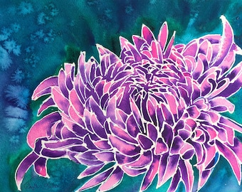 Puede incluir: Pintura a la acuarela de una gran y vibrante flor de crisantemo. Los pétalos son un degradado de rosa y morado, delineados en blanco, sobre un fondo turquesa y azul. La firma del artista está en la esquina inferior izquierda.