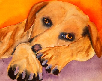 Sleepy Dog Watercolor