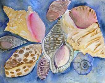 Shells