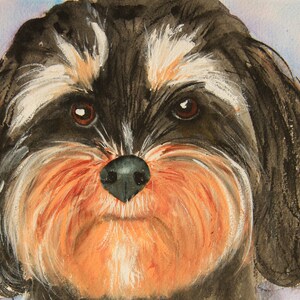 May include: Watercolor painting of a dog's face, featuring a black and white coat with tan and orange accents around the muzzle. The dog has brown eyes and a black nose, with a soft, fluffy appearance.