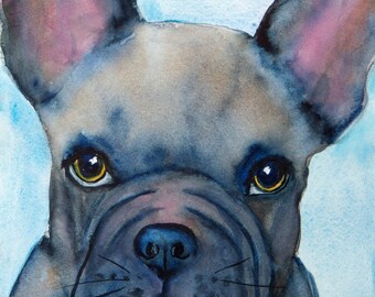 Può includere: Dipinto ad acquerello del muso di un bulldog francese. Il cane ha un mantello grigio e blu, con grandi orecchie dritte. Gli occhi sono gialli con contorni blu scuro e lo sfondo è un lavaggio blu chiaro.