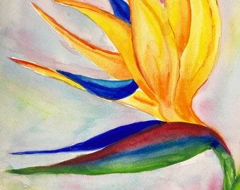 Bird of Paradise Original Watercolor