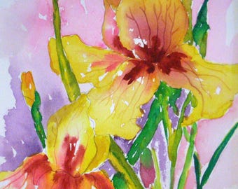 2 Iris Acuarela