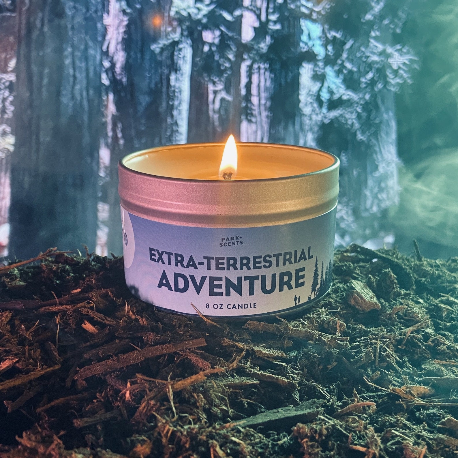Extraterrestrial Adventure Candle Etsy