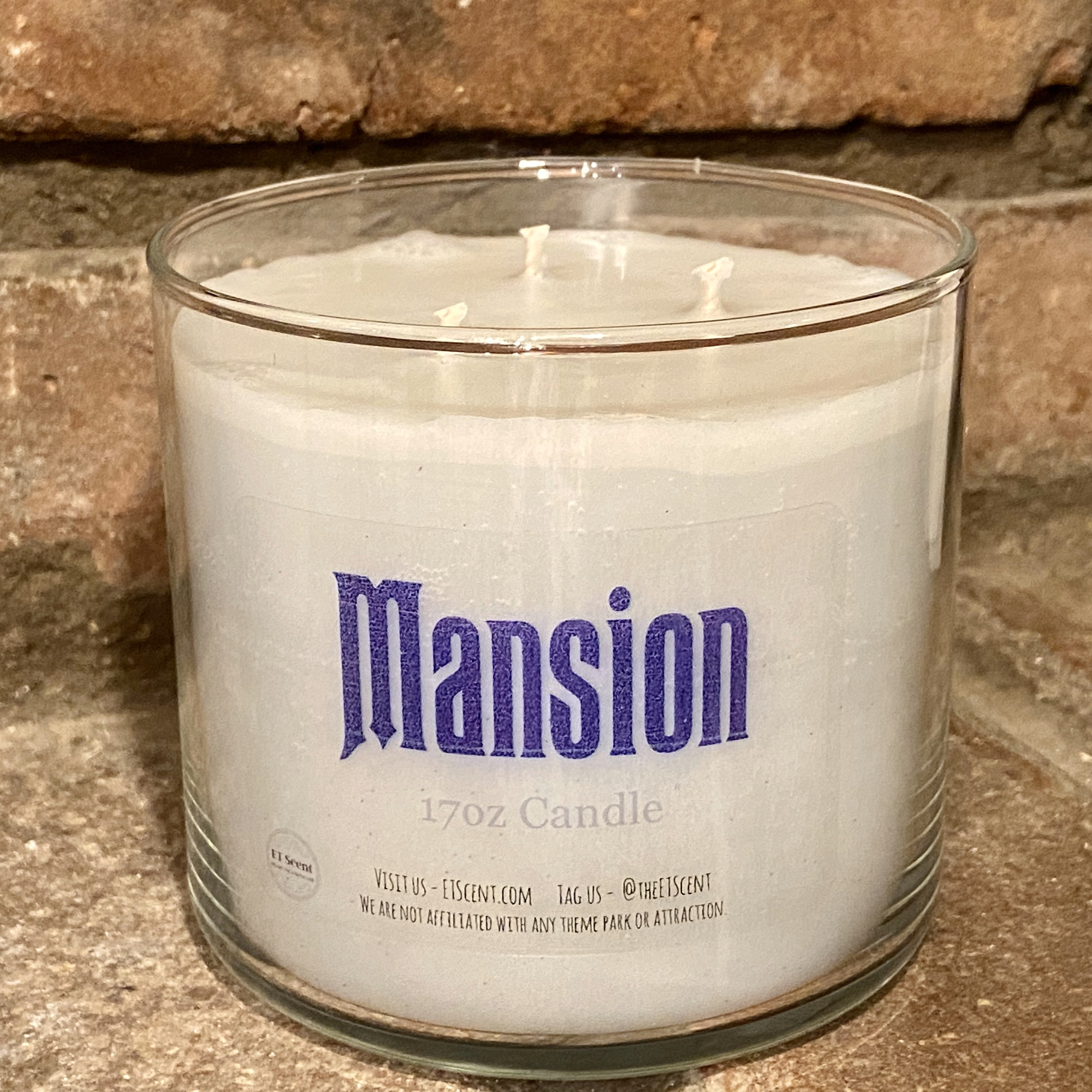 Large 17oz 3 Wick Candle ANY SCENT!