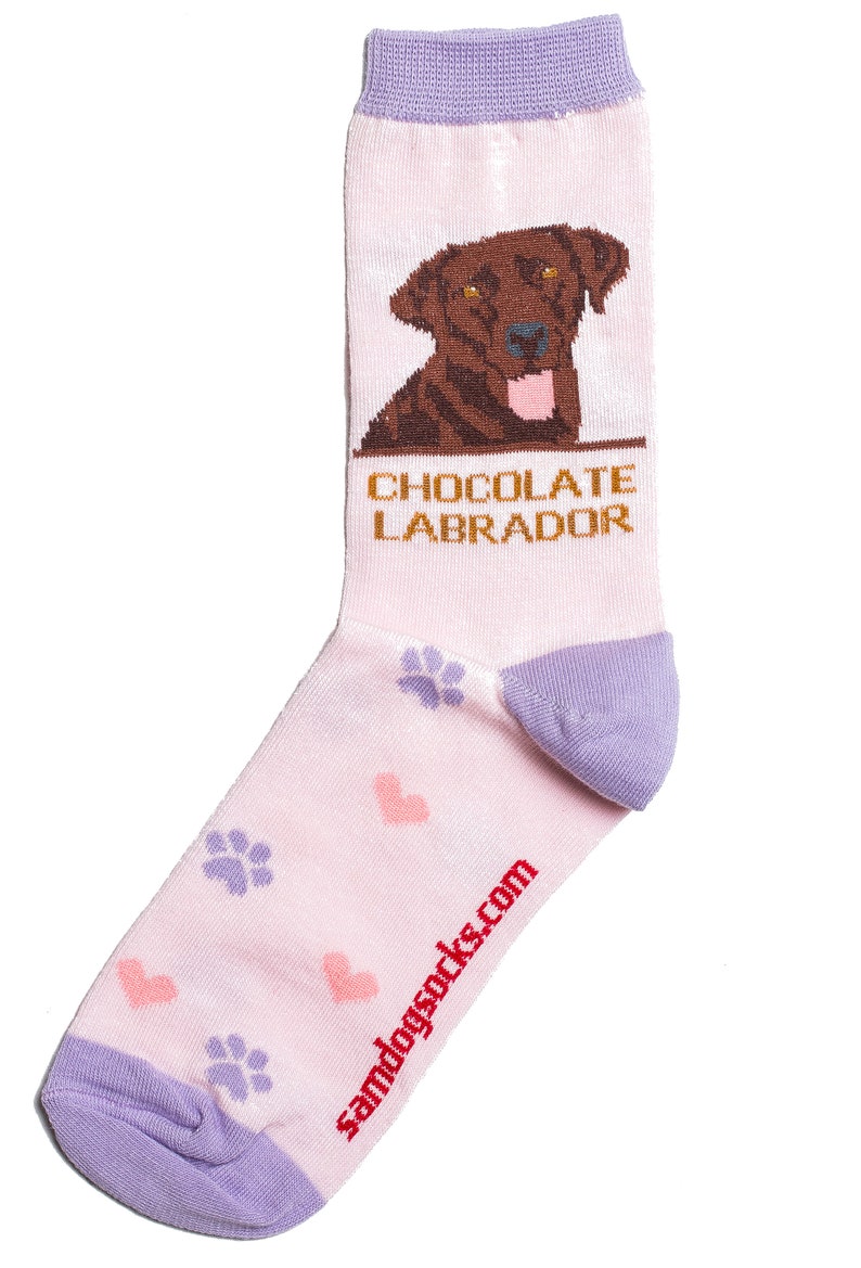 Chocolate Lab Dog-Socks