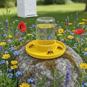 Puede incluir: Un bebedero amarillo para abejas con un frasco de vidrio lleno de líquido, colocado sobre una gran roca gris. Se ven abejas en el bebedero. El fondo presenta una colmena blanca, flores silvestres y hierba verde.