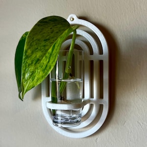 Wall Plant Propagation Station: Biodegradable Plastic, Plant Clipping Holder