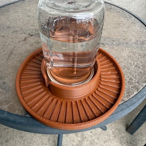 Bee watering station, bee feeder, bee heath, hive support. Healthy bees, bee cooling