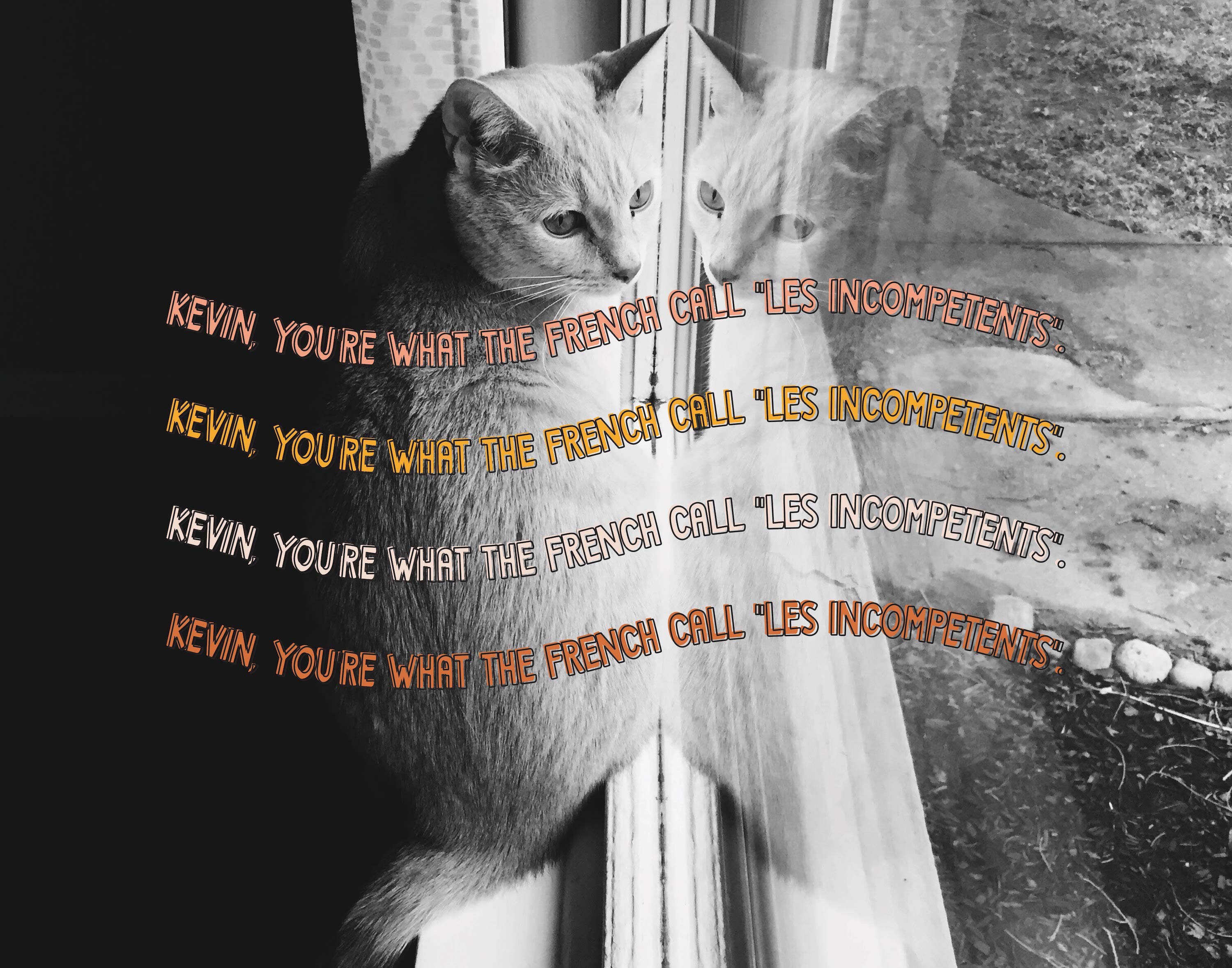 Kevin Rudd Font KEVIN Font All Caps Font Modern Font Boho Font Branding - Etsy