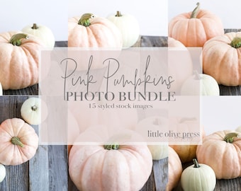 Pink Pumpkins Stock Photo Bundle / Seasonal Stock Photos / 15 LittleOlivePress Images for Your Business