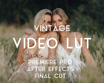 Vintage Video LUT | Color Grading Video Preset for Premiere Pro, Final Cut, After Effects | Video Editing | Filmmaker Video Luts