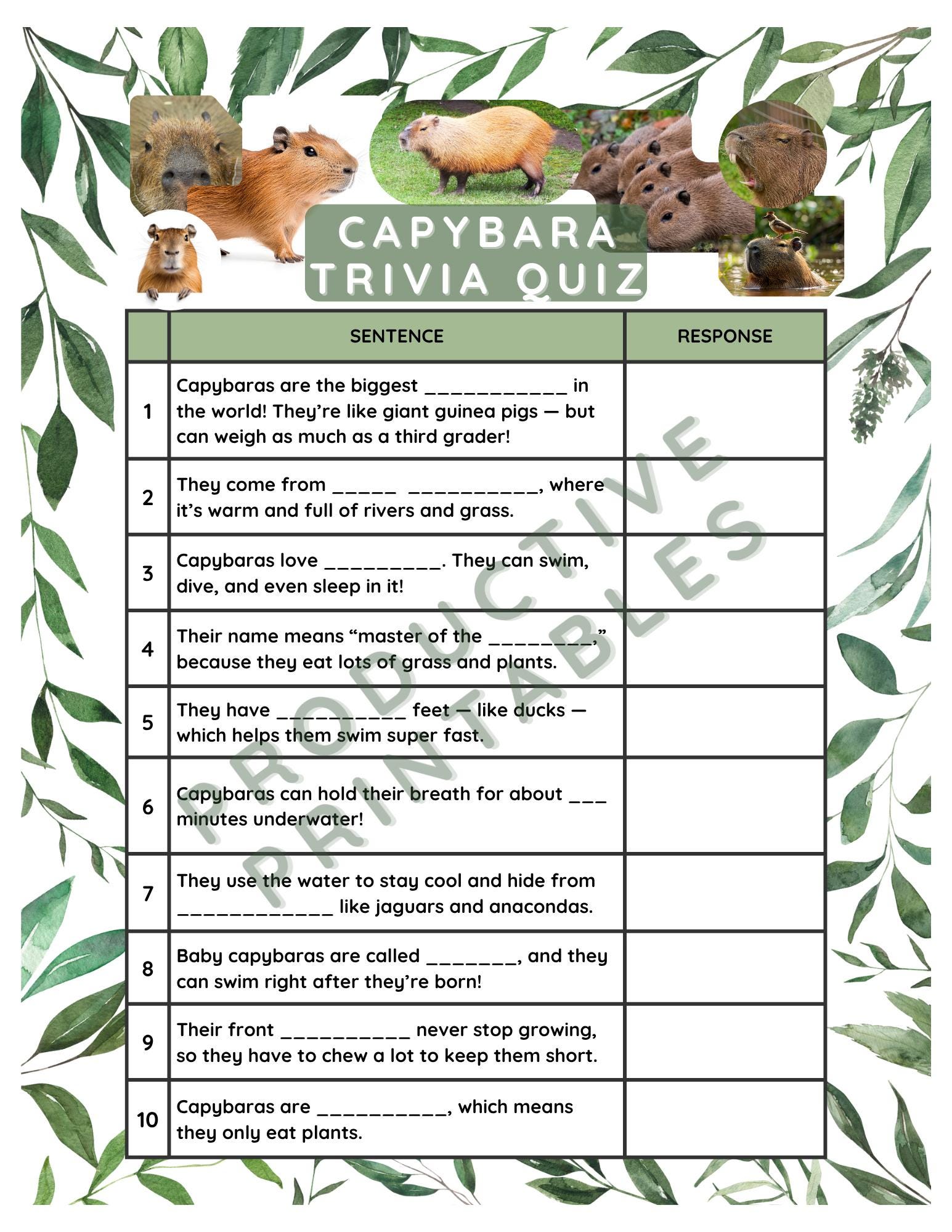 Capybara Trivia Questions - Images | Picstank.com