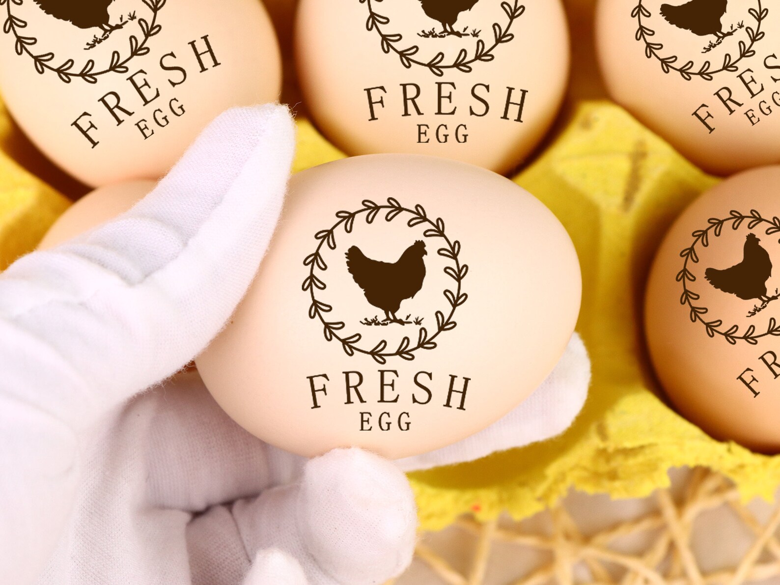 Custom Egg Stamp Custom Egg Carton Stamp Fresh Egg Stamp Etsy