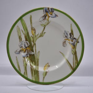 Könnte beinhalten: Ein weißer Keramikteller mit grünem Rand und einem floralen Design mit blauen und gelben Iris.