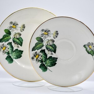 May include: A set of two white ceramic plates with a gold rim and a floral design featuring white flowers with yellow centres and green leaves.