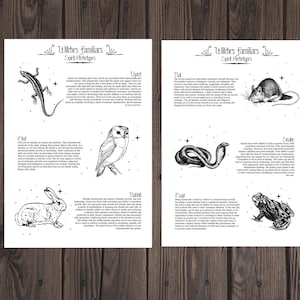 Witch Familiar Rabbit Familiars Grimoire Pages: Witchcraft Basics, Spirit Animals (PDF) - Etsy