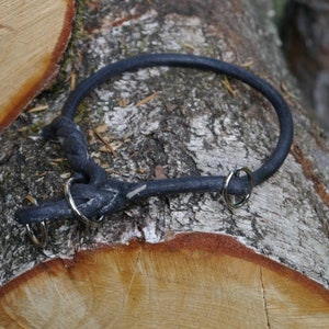 Könnte beinhalten: Ein schwarzes Lederhundekragen mit zwei silbernen Metallringen.