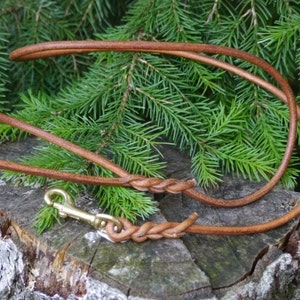Può includere: Un guinzaglio per cani in pelle marrone con un moschettone in ottone. Il guinzaglio è intrecciato e si trova su un ceppo d'albero.