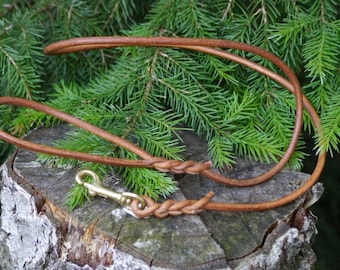 Round leather leash, guide line in round core leather