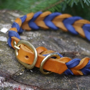 Two-tone fat leather collar with buckle