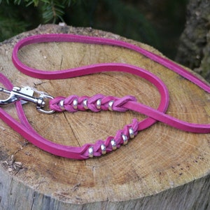 Op de afbeelding: Een roze leren hondenriem met zilveren metalen accenten. De riem is gevlochten en heeft een zilveren metalen clip.