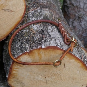 Può includere: Un collare per cani in pelle marrone con una fibbia e un anello in ottone. Il collare è appoggiato su un tronco di legno.