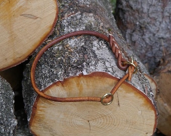 May include: A brown leather dog collar with a brass clasp and ring. The collar is lying on a wooden log.
