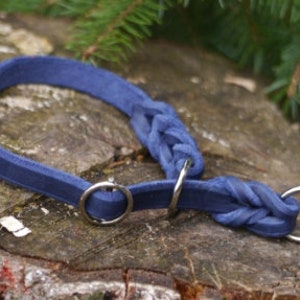 Könnte beinhalten: Ein blaues Lederhundekragen mit geflochtenem Design und zwei silbernen Metallringen.