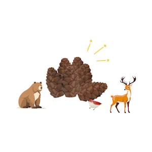 Cascadia Nature tokens