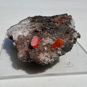 Museum Quality Deep Red Wulfenite Crystals & Fluorite on Matrix from Red Cloud Mine, La Paz County, AZ