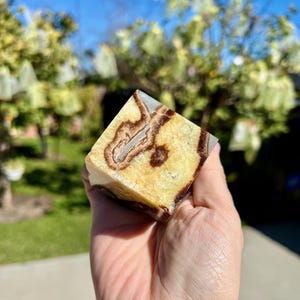 May include: A yellow, brown, and white cube-shaped polished stone with a unique pattern. The stone is being held in a hand.