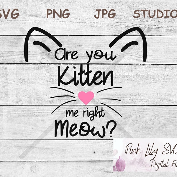 Are You Kitten Me right Meow? SVG PNG, Cute kitten, Cat Mom Svg Png, Cat Lover, Cat Humor, Cat Cut Files, Studio Cut File, Pastel cute cat