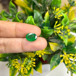 AAA-klasse 2,50 kt topkwaliteit natuurlijke smaragd, Zambiaanse smaragd, 10,4 x 7,4 mm, smaragd gefacetteerd ovaal, smaragd geslepen, edelsteensieraden