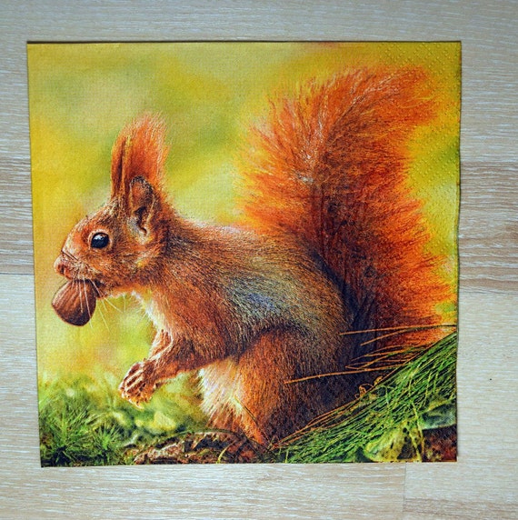 56 forest design 4 Single paper decoupage napkins Squirell