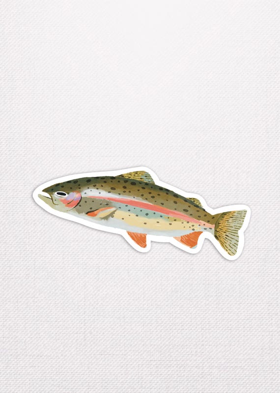 Rainbow Trout Fish Glossy Sticker: Splashproof Decal for Laptop, Flask